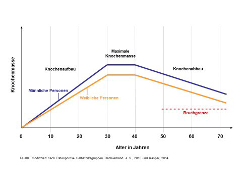 Veränderungen der Knochenmasse im Laufe der Zeit Veränderungen der Knochenmasse im Laufe der Zeit