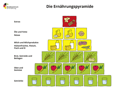 Ernährungspyramide des Bundeszentrums für Ernährung: Die Basis bilden sechs Würfel mit Wassergläsern für Getränke mit der Hintergrundfarbe grün, darüber sind fünf Würfel mit einem Obst/Gemüse Symbol ebenfalls mit der Hintergrundfarbe grün. Darüber sind vier Würfel mit einer Getreideähre, eines davon mit einer Kartoffel für Brot, Getreide und Beilagen. Hintergrundfarbe ist wiederum grün. Darüber sind zwei Würfel mit Milch/Käse Symbol und einer mit Fleisch/Hülsenfrüchte mit einer Hintergrundfarbe gelb. Darüber folgen zwei Würfel mit Ölen und Fetten und einer für Nüsse mit gelb als Hintergrund. Darüber kommt ein Würfel mit Kartoffelchips und Schokolade für Extras mit einem roten Hintergrund Ernährungspyramide des Bundeszentrums für Ernährung: Die Basis bilden sechs Würfel mit Wassergläsern für Getränke mit der Hintergrundfarbe grün, darüber sind fünf Würfel mit einem Obst/Gemüse Symbol ebenfalls mit der Hintergrundfarbe grün. Darüber sind vier Würfel mit einer Getreideähre, eines davon mit einer Kartoffel für Brot, Getreide und Beilagen. Hintergrundfarbe ist wiederum grün. Darüber sind zwei Würfel mit Milch/Käse Symbol und einer mit Fleisch/Hülsenfrüchte mit einer Hintergrundfarbe gelb. Darüber folgen zwei Würfel mit Ölen und Fetten und einer für Nüsse mit gelb als Hintergrund. Darüber kommt ein Würfel mit Kartoffelchips und Schokolade für Extras mit einem roten Hintergrund.