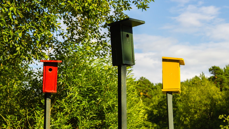 Mehrere bunte Vogelhäuschen, Copyright Panthermedia