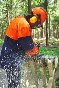 Holzschneiden mit der Kettensäge auf einem Sägebock; Copyright Bayerische Gewerbeaufsicht